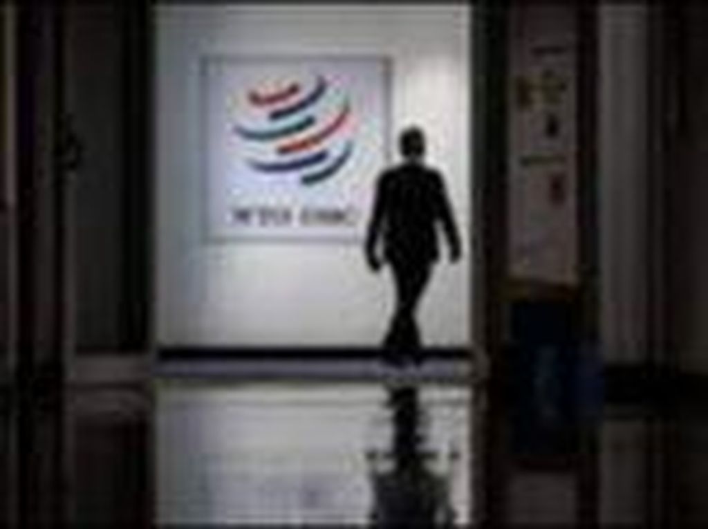 RI Resmi Ajukan Banding Atas Kekalahan di WTO soal Nikel
