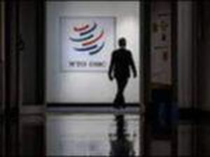 Wow! RI Lagi Hadapi 5 Gugatan Sekaligus di WTO, Apa Saja? Wow! RI Lagi Hadapi 5 Gugatan Sekaligus di WTO, Apa Saja?