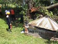 6 Bangunan di Pura Hyang Api Tabanan Hancur Tertimpa Pohon Tumbang