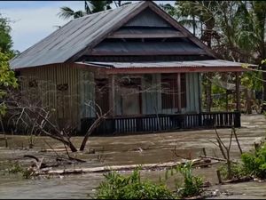 Tanggul Sungai Rongkong Jebol, Banjir Rendam 2 Desa di Luwu Utara