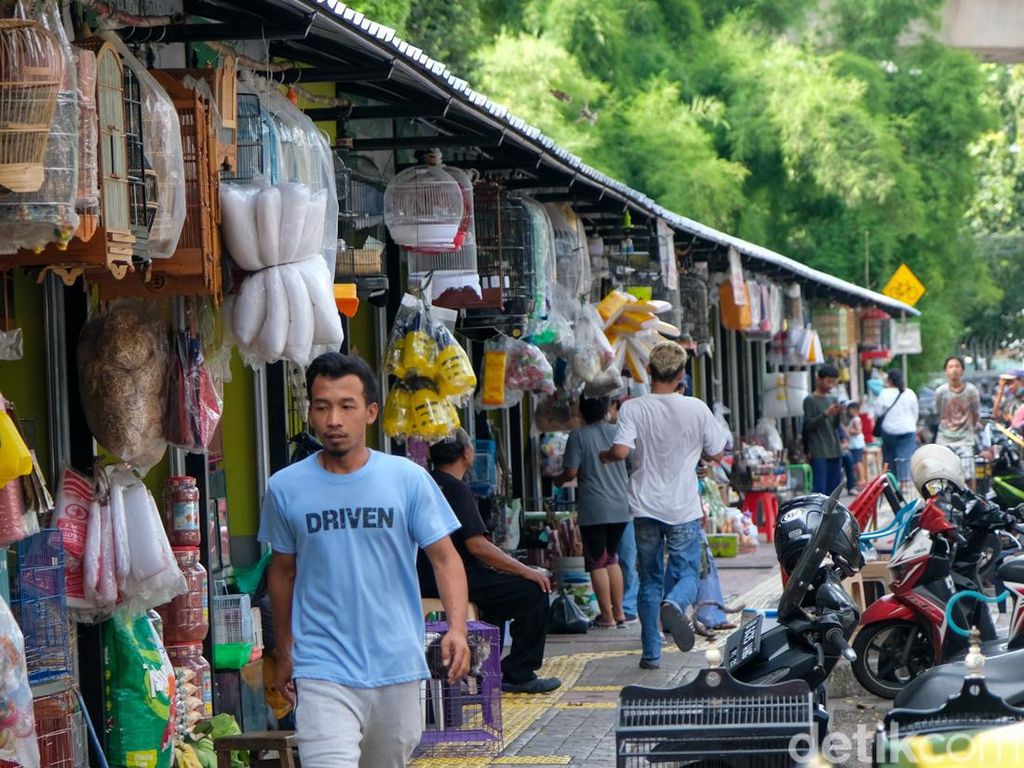 Wajah Terkini Pasar Hewan Barito Usai Revitalisasi