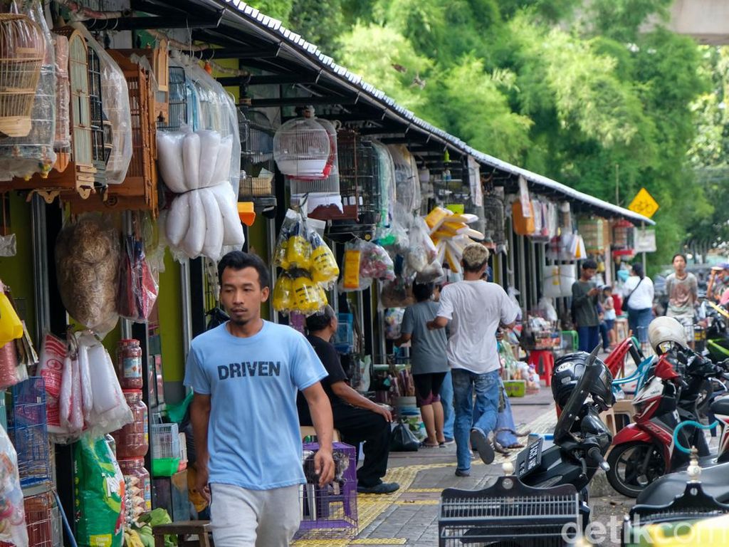 Wajah Terkini Pasar Hewan Barito Usai Revitalisasi Wajah Terkini Pasar Hewan Barito Usai Revitalisasi