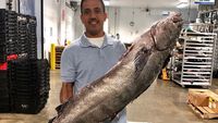 Begini Kesibukan Pabrik Seafood Segar Ramah Lingkungan Terbesar di Dunia