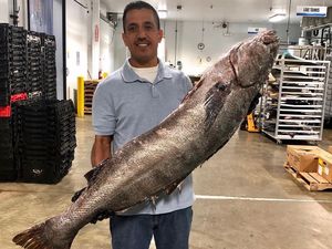 Begini Kesibukan Pabrik Seafood Segar Ramah Lingkungan Terbesar di Dunia