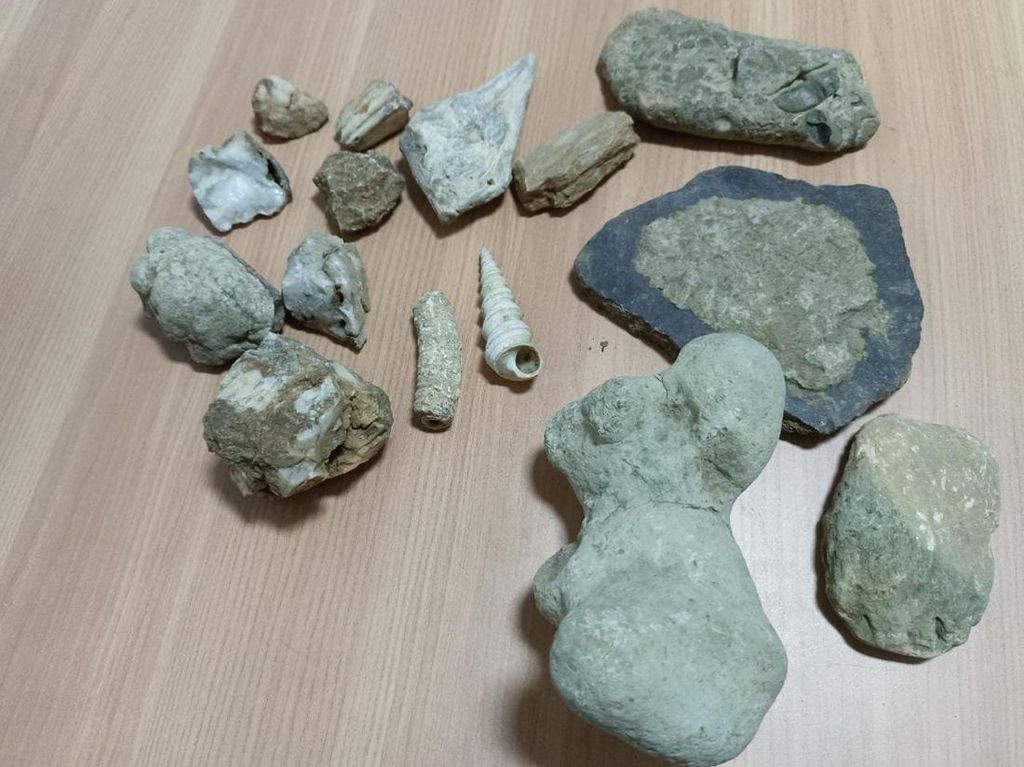 Hasil Ekspedisi Pegunungan Bantarkawung Brebes, Bekas Pesisir Zaman Purba Hasil Ekspedisi Pegunungan Bantarkawung Brebes, Bekas Pesisir Zaman Purba