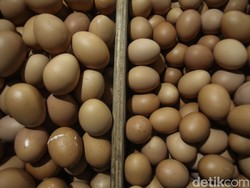 Harga Telur Masih di Atas Rp 30.000/kg, Pedagang: Ibu-ibu Pada Ngedumel