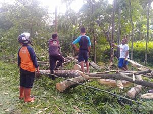 Dua Hari Banyuwangi Dilanda Puting Beliung, BMKG Beri Penjelasan Dua Hari Banyuwangi Dilanda Puting Beliung, BMKG Beri Penjelasan