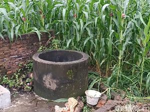 Siswi Ditemukan Tewas dalam Sumur Sudah Hilang Sejak 3 Hari Lalu Siswi Ditemukan Tewas dalam Sumur Sudah Hilang Sejak 3 Hari Lalu