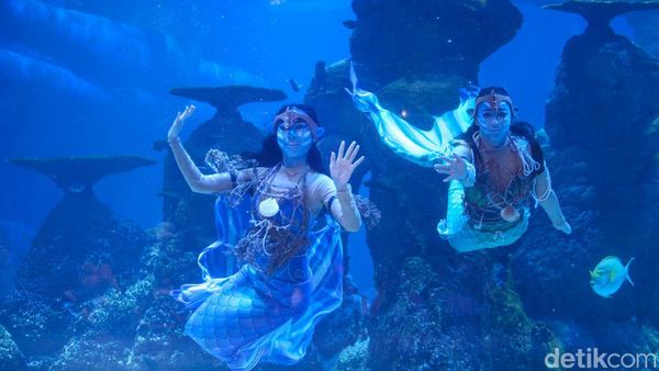 Wow... Ada Putri Duyung Berwajah Avatar di Jakarta Aquarium