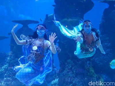 Wow... Ada Putri Duyung Berwajah Avatar di Jakarta Aquarium