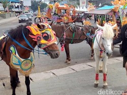 Kisah Si Windu, Kuda Perang yang Tangguh dari Kuningan