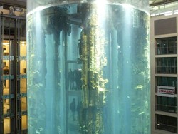 6 Fakta AquaDom, Akuarium Terbesar di Dunia yang Meledak