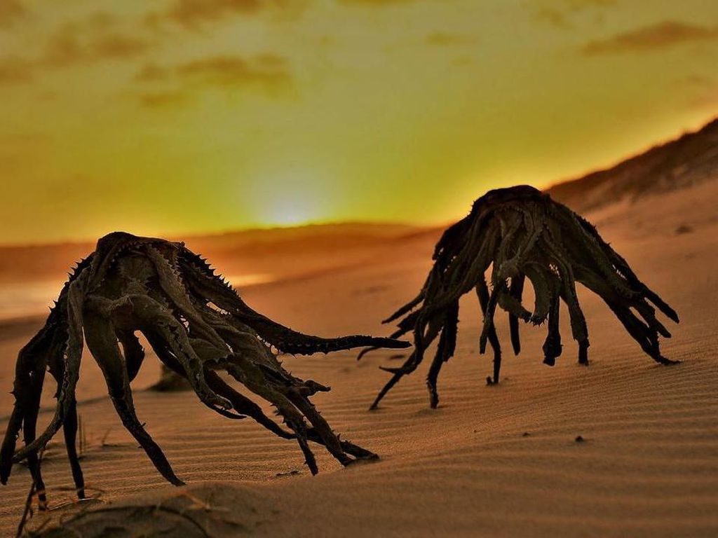 Ada Alien Sabotase Pantai, Eh Ternyata Cuma... Ada Alien Sabotase Pantai, Eh Ternyata Cuma...
