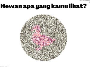 Buktikan Kamu Nggak Buta Warna! Harusnya Sih Bisa Sat-set Jawab 5 Soal Ini Buktikan Kamu Nggak Buta Warna! Harusnya Sih Bisa Sat-set Jawab 5 Soal Ini