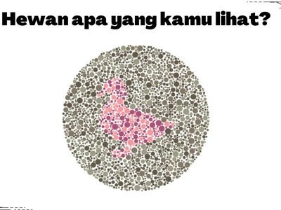 Buktikan Kamu Nggak Buta Warna! Harusnya Sih Bisa Sat-set Jawab 5 Soal Ini