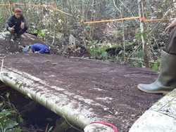 Penampakan Bangkai Pesawat Diduga Peninggalan PD II di Hutan Kotabaru