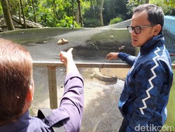 Bogor Mini Zoo Tak Punya Izin, Tapi Isinya Hewan yang Hampir Punah