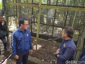 Momen Bima Arya Sidak Bogor Mini Zoo Buntut Viral Bayi Monyet Mati