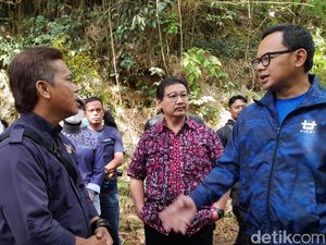 BKSDA Jabar: 2 Monyet Mati di Bogor Mini Zoo Dibeli dari Pasar Pramuka