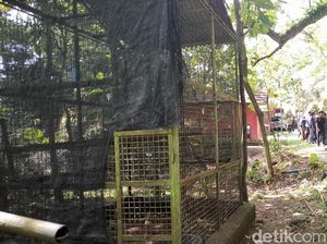 Kandang di Bogor Mini Zoo Kosong, Monyet Tampak Berkeliaran di Pepohonan Kandang di Bogor Mini Zoo Kosong, Monyet Tampak Berkeliaran di Pepohonan