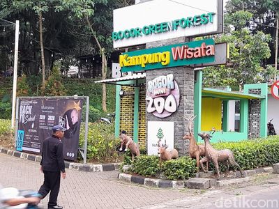 Potret Bima Arya-BKSDA Sidak Bogor Mini Zoo Usai Viral Monyet Mati