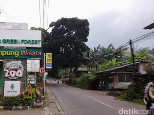 Bogor Mini Zoo Ditutup Sementara Buntut Viral 2 Monyet Mati