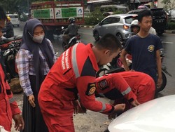 Biawak di Makassar Bersarang di Mobil Warga Bikin Geger, Damkar Evakuasi
