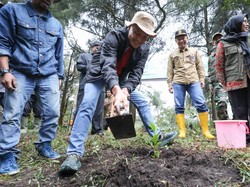 Ganjar Ikut Tanam 283 Ribu Bibit Kopi Bareng Petani Milenial di Dieng