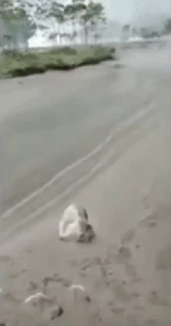 Geger Pasir Mengalir Tanpa Air di Jalur Lahar Gunung Semeru