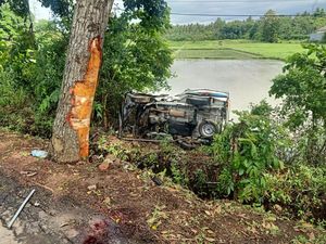 Jalan Licin, Pikap Angkut Buruh Terjun ke Sawah di Jembrana Jalan Licin, Pikap Angkut Buruh Terjun ke Sawah di Jembrana