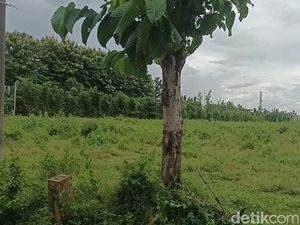 Tanah di Colomadu Tembus Rp 3 Jutaan/Meter, Setara Harga di Depok-Bekasi Tanah di Colomadu Tembus Rp 3 Jutaan/Meter, Setara Harga di Depok-Bekasi