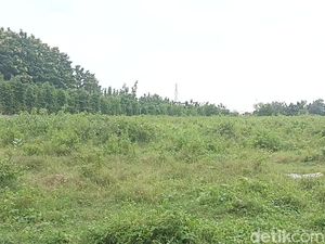Tanah di Colomadu Tembus Rp 3 Jutaan/Meter, Tertinggi Se-Karanganyar Tanah di Colomadu Tembus Rp 3 Jutaan/Meter, Tertinggi Se-Karanganyar