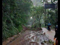 Hujan Deras Picu Pohon Tumbang-Longsor di Jalur Wisata Lembang