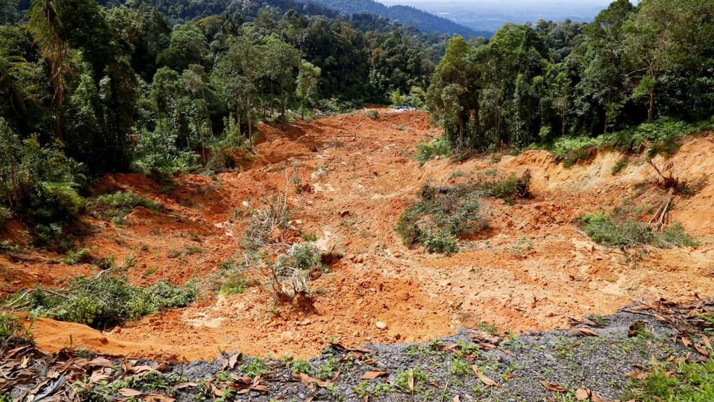 Longsor Terjang Area Perkemahan di Malaysia, Puluhan Orang Hilang