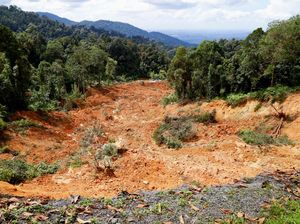 Longsor Terjang Area Perkemahan di Malaysia, Puluhan Orang Hilang