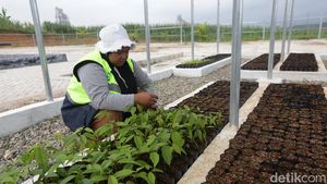 Mengunjungi Edupark Pertanian dan Peternakan Terpadu di Rembang