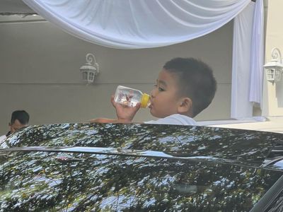 Panembahan Al Nahyan Nasution Ketua dari Medan dan Dotnya