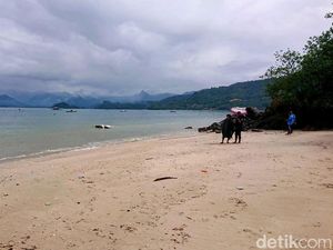 Destinasi Wisata Trenggalek Bersolek-Revitalisasi Jelang Libur Panjang Destinasi Wisata Trenggalek Bersolek-Revitalisasi Jelang Libur Panjang
