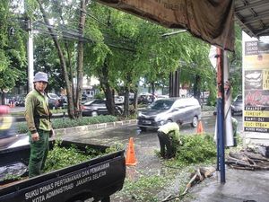Pohon Tumbang Timpa Kabel di Lebak Bulus Jaksel Imbas Hujan Deras