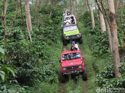 Seru Abis... Offroad Sambil Keliling Kebun Kopi Banaran Semarang