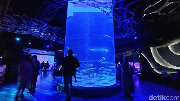 Foto: 8 Wisata Jakarta Anti Hujan Badai, Mana Favoritmu?