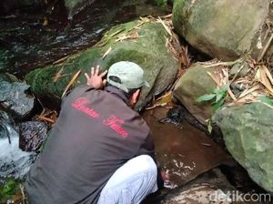 Warga Temukan Mata Air Berasa Manis di Kaki Gunung Ciremai