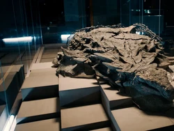 Fosil Dinosaurus Paling Menakjubkan di Dunia, Seperti Masih Hidup