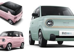 Penantang Baru Wuling Air ev Meluncur, Harga Mulai Rp 88 Jutaan