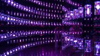 Jelajahi Masa Depan di Museum of Future Dubai
