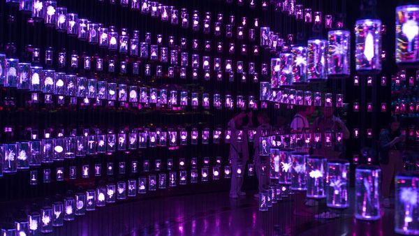 Jelajahi Masa Depan di Museum of Future Dubai