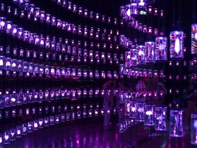 Jelajahi Masa Depan di Museum of Future Dubai