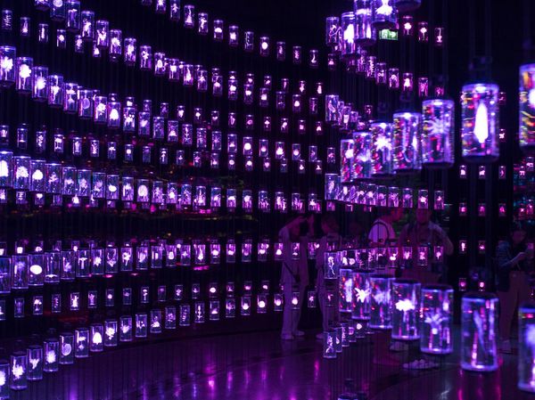 Jelajahi Masa Depan di Museum of Future Dubai