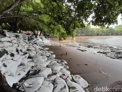 Abrasi Pantai Batukaras, Waspada Karang yang Muncul di Permukaan Pasir
