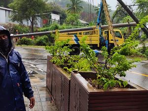 Hujan Lebat di Labuan Bajo, Tiang Listrik Roboh-Arus Lalin Dialihkan